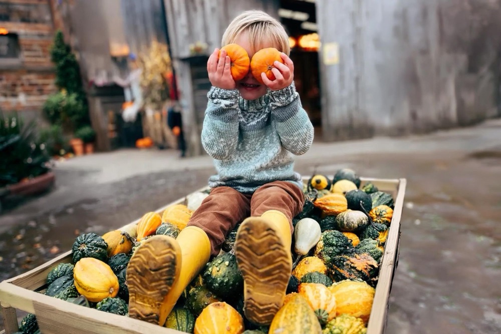 Pennywell Pumpkin Festival